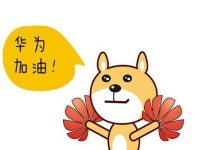 什么是华为Datacom认证？-59学习网