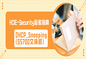 DHCP_Snooping(S5700交换机)