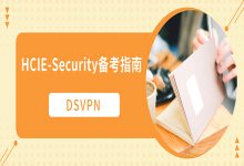 DSVPN——HCIE-Security_备考指南-59学习网