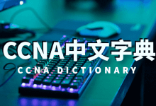 CCNA中文字典-59学习网