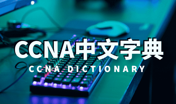 CCNA中文字典