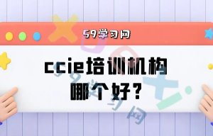 CCIE培训