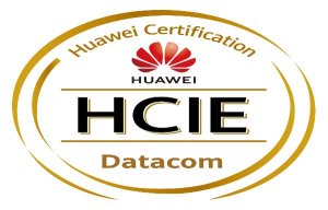 hcie-datacom